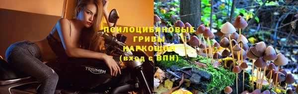 дурь Богородск