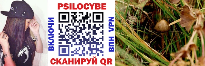 Галлюциногенные грибы ЛСД цены Моздок