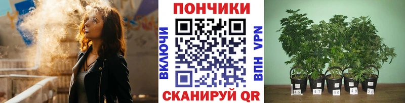 Бошки марихуана LSD WEED Моздок